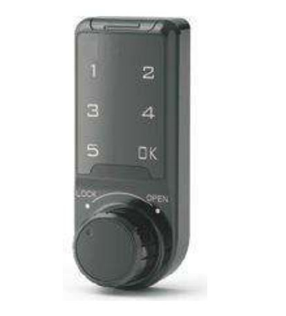 Electronic cam lock with password keypad panel,